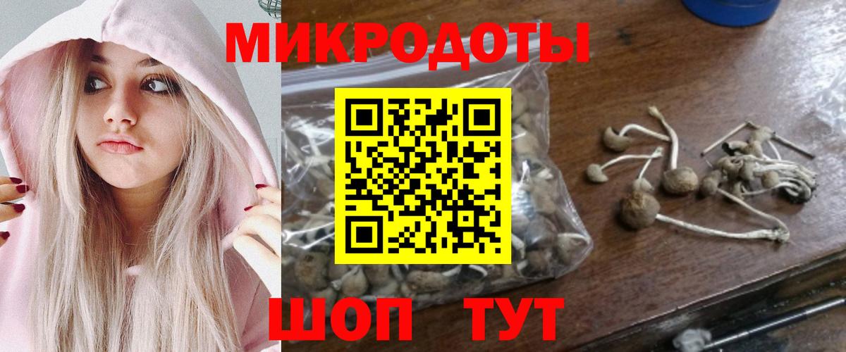 Карталы  Псилоцибиновые грибы мицелий  Вход с VPN  Псилоцибиновые грибы ЛСД 