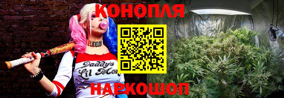 Карталы  Бошки Шишки гибрид  Канабис семена  Канабис план  Вход с VPN 